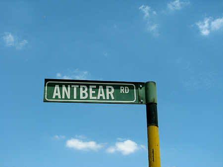 antbearrd.jpg
