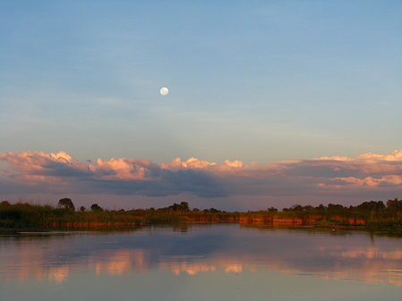 okavango1