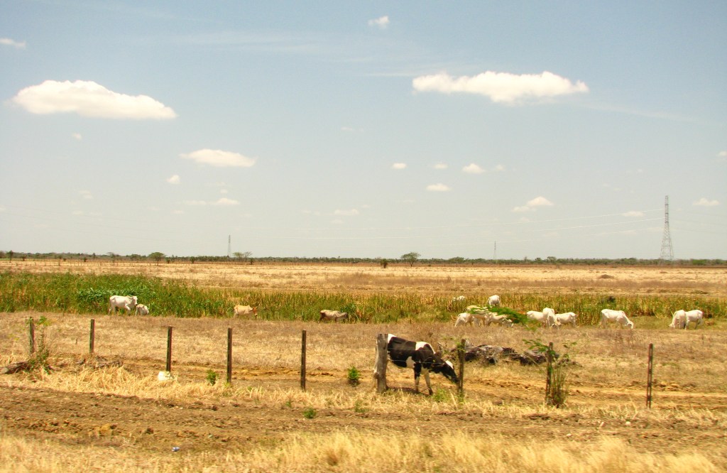 En la carretera del Llano en Apure, Venezuela