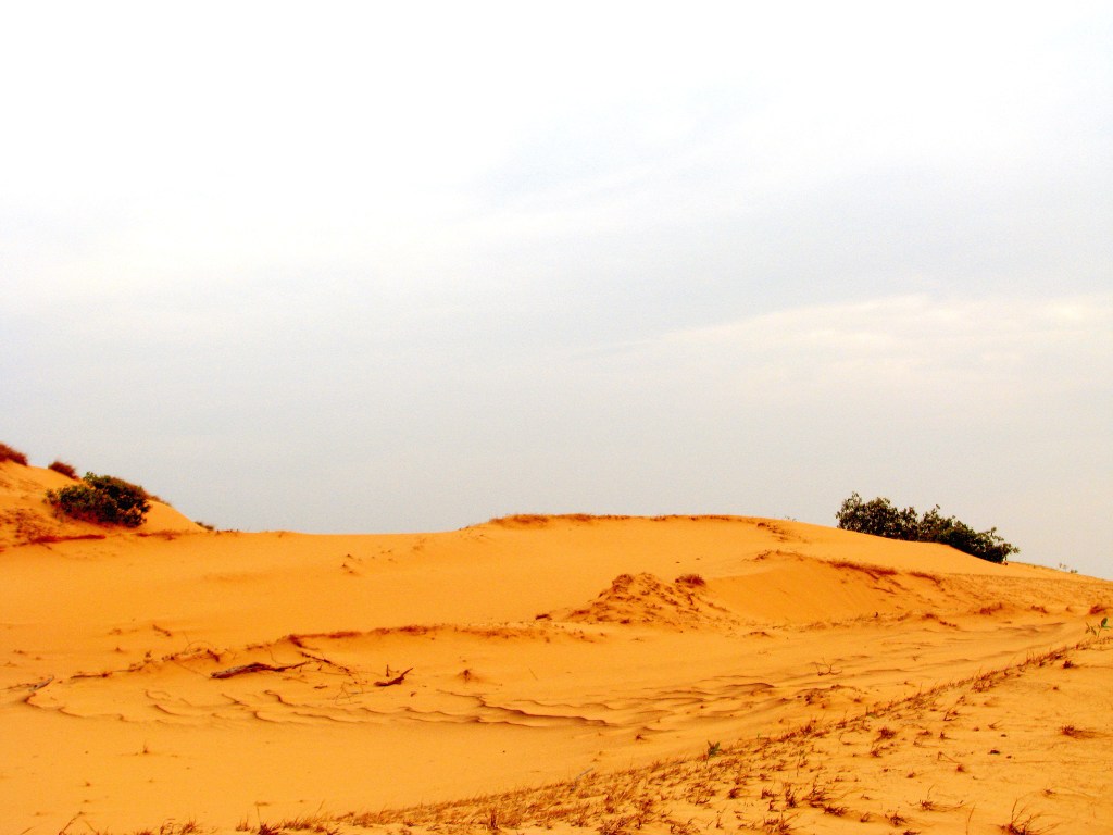 Duna en Apure - Abril 2009