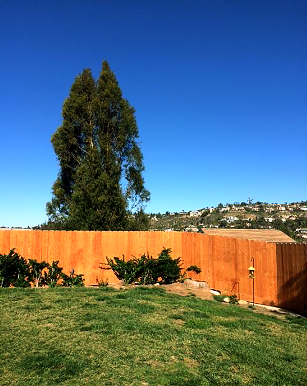 Vista del jardín de Leonora Simonovis